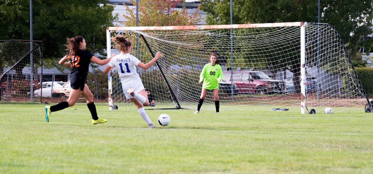 Finding the Key Features in Top Free Bracket Generators